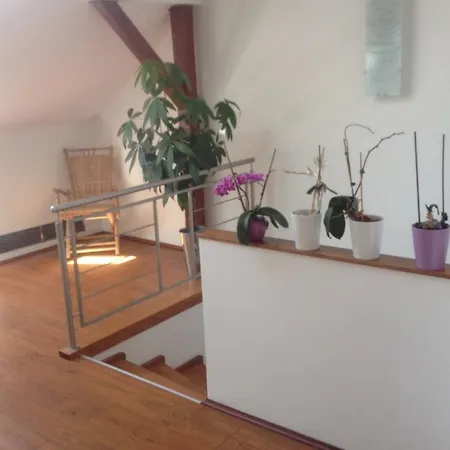 Apartmán Apartman Jugoslavska